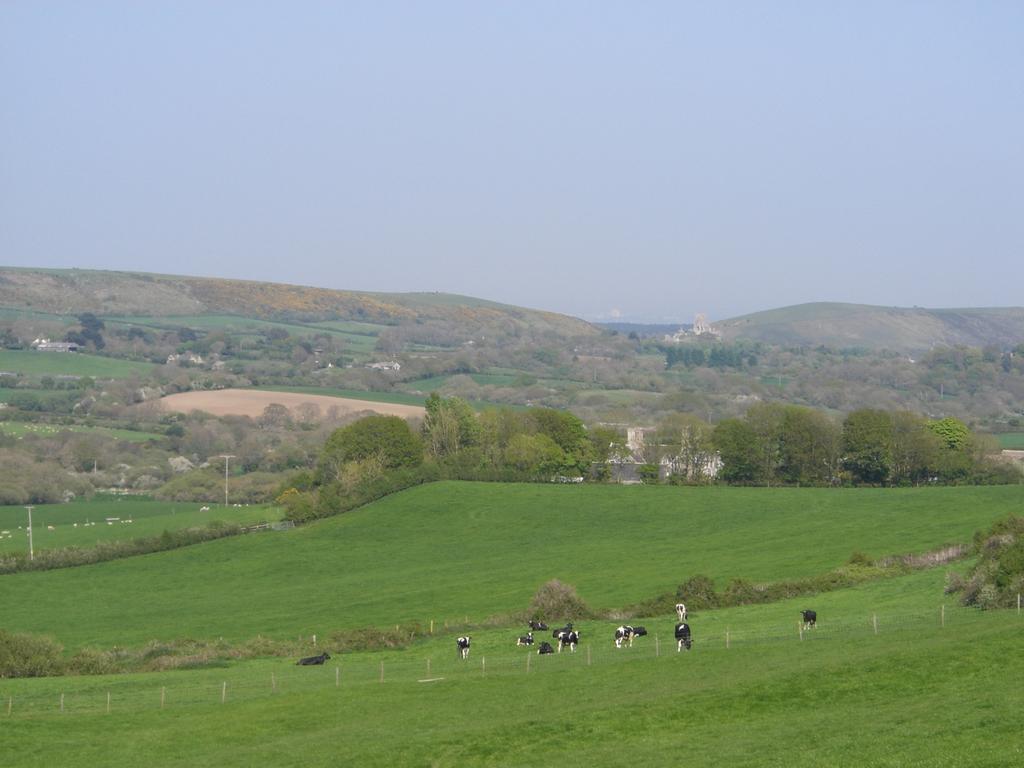 Bradle Farmhouse Corfe Castle Dış mekan fotoğraf